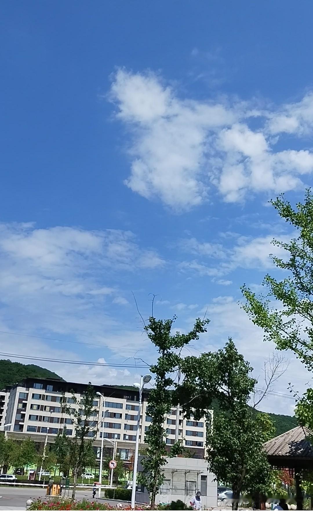 昨晚看了一篇文章，说癌症有四个复发的高峰期，分别是术后的一年、两年、三年和五年。