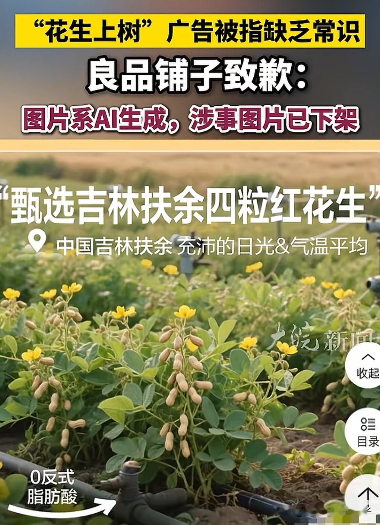 笑不活了！良品铺子的宣传图上，花生结果竟然挂在了枝头上，后续还解释说是不小心使用