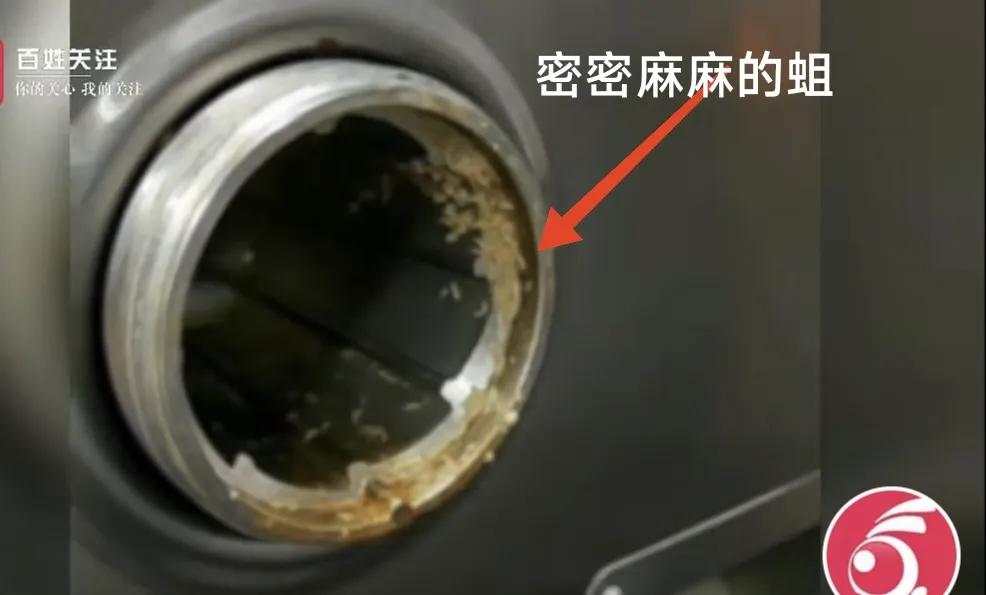 这是我见过的最恶心的绞肉机，浙江余姚某学校的这台绞肉机，密密麻麻的蠕动的蛆！可是