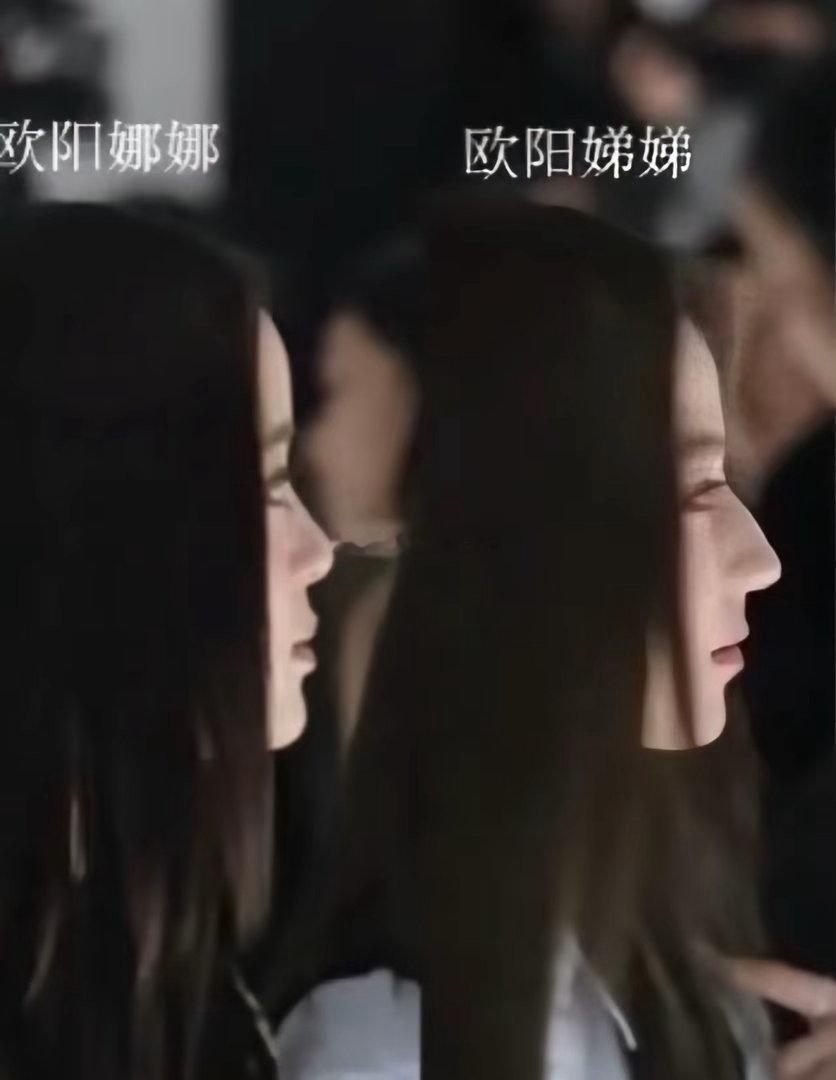 欧阳娜娜、欧阳娣娣侧脸对比图……欧阳娣娣很突出，但为什么正脸还是娜比看起来更舒服