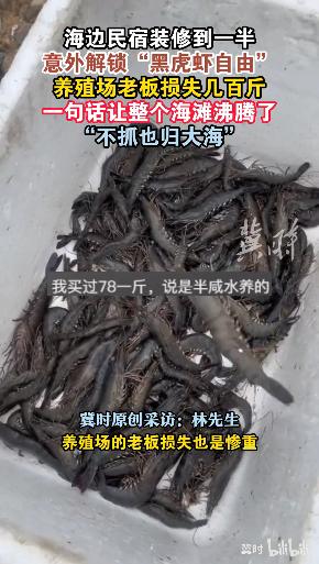 “这老板有格局！”9月24日，福建宁德，一男子在楼顶装修民宿时，意外发现海水反光