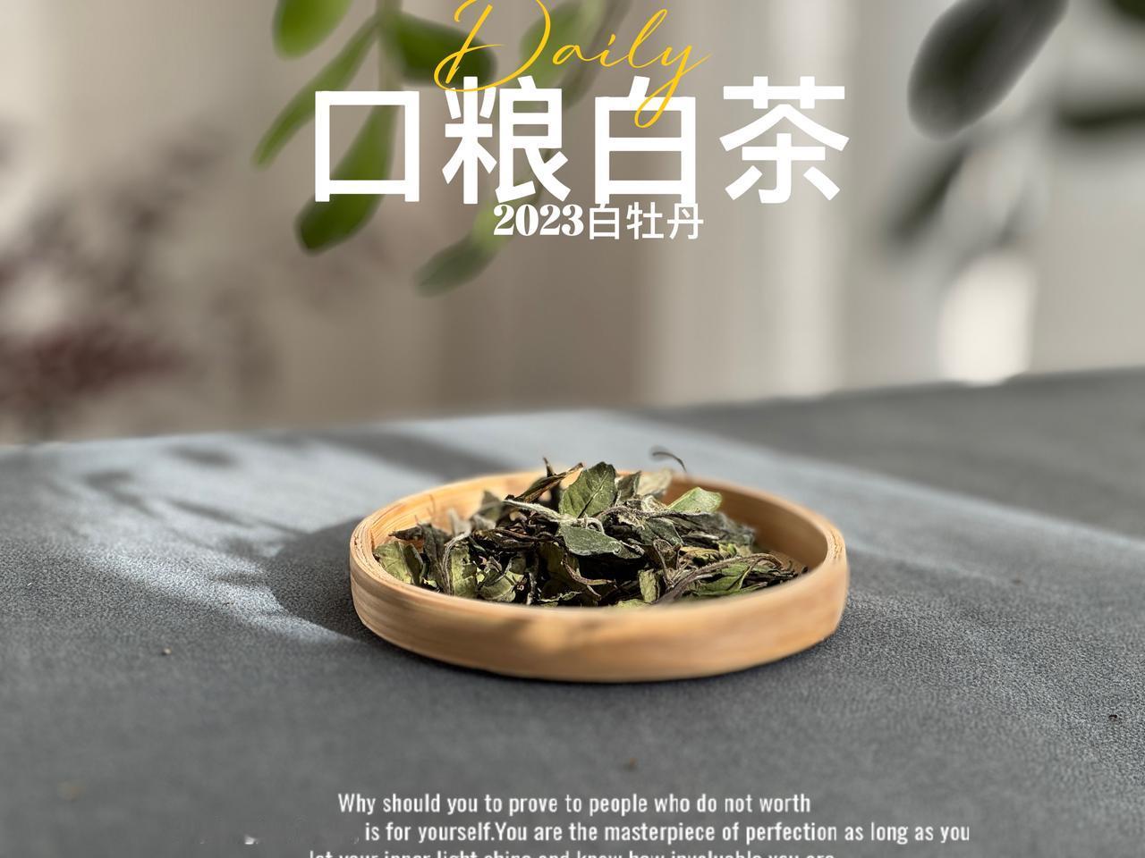茶叶的7种泡法？1篇文章全解锁①玻璃杯泡玻璃杯、马克杯等，都适合这类方法。
