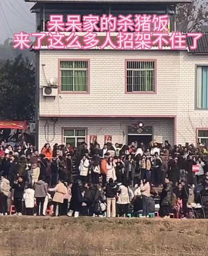 这下呆呆真呆了！杀猪宴被蹭流量，呆呆看着父母忙到哭！呆呆笑不出来了。