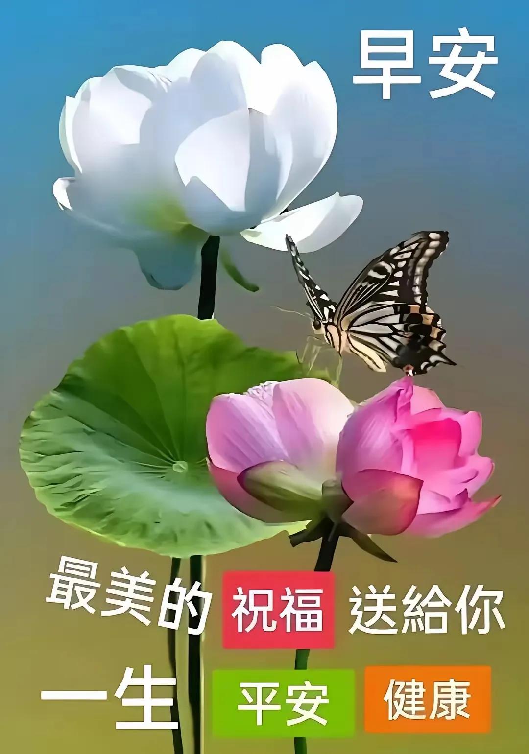 早上醒来，看到“早上好，花儿为你盛开”这句话，感觉新的一天充满希望。就像那些早安