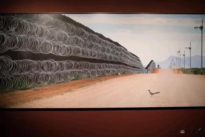 扎哈罗娃谈南京大屠杀扎哈罗娃谈南京大屠杀，一针见血。当地时间11日，她在新闻发