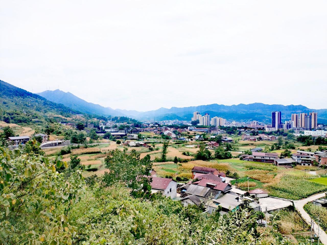 水江镇位于重庆市南川区东北部，大娄山系北延余脉“弹子山”西侧，是一块地形平缓的浅