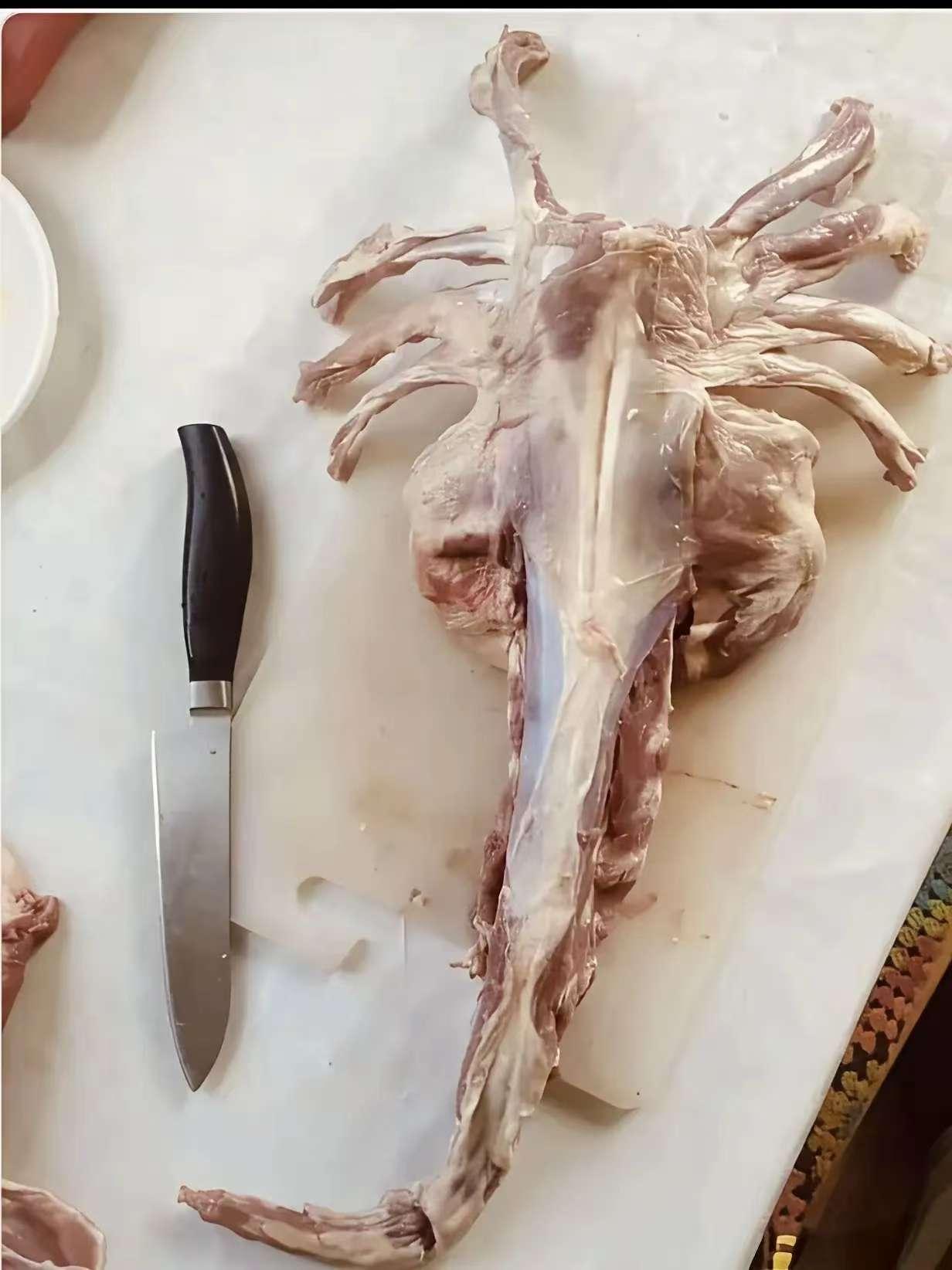 以前我不明白为啥叫羊蝎子？我以为是西北地区的习惯叫法，后来流传到了全国各地，