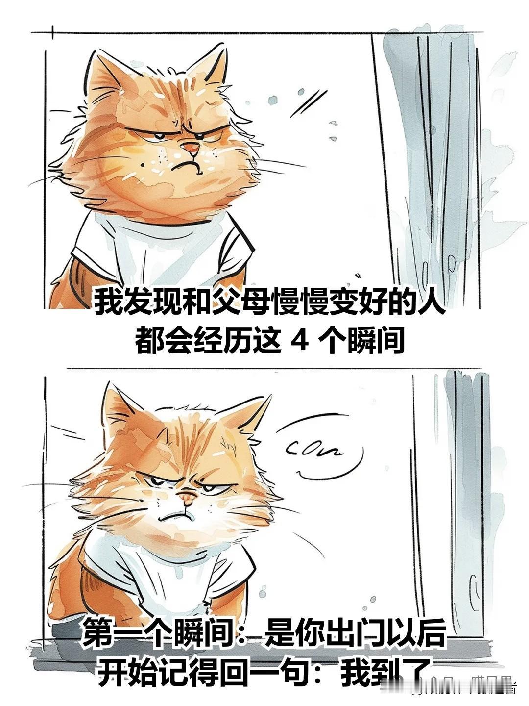 治愈漫画I和父母慢慢变好的4个瞬间日常治愈漫画漫画治愈时刻漫画治愈心