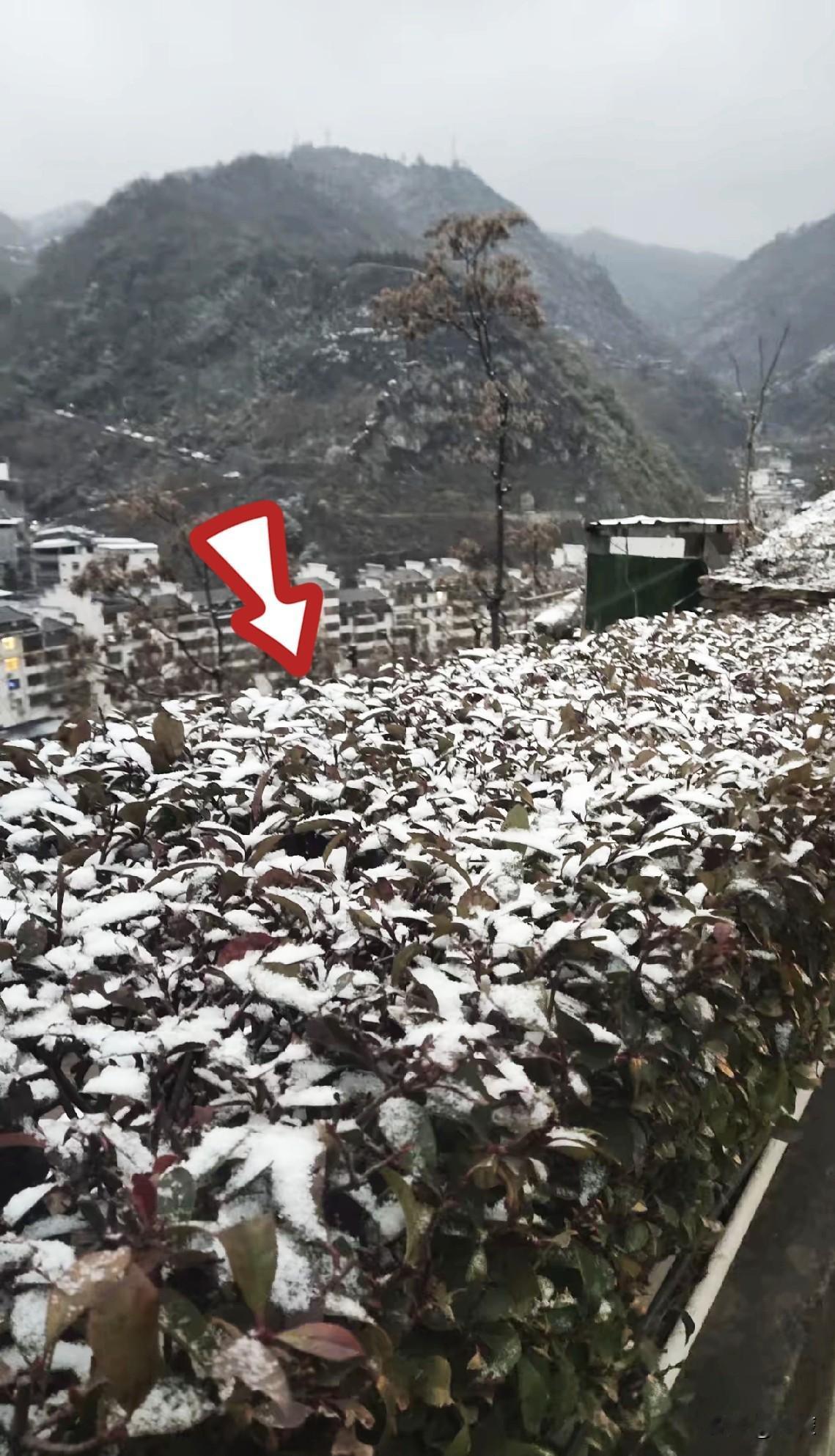 以前认为吃胡萝卜、白菜总比其他菜安全，现在看来啥也不安全了。昨天看了央视财经频道