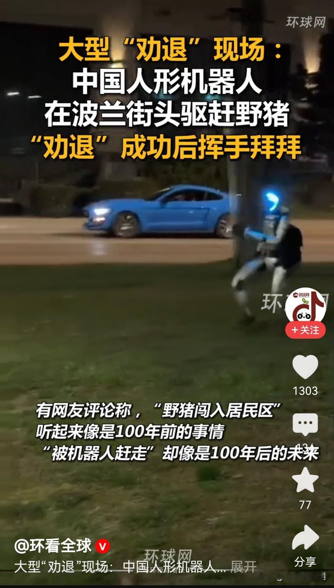 宇树机器人赶猪波兰街头，一群野猪在前面仓惶逃蹿，一个背着双肩包、头上发着蓝光的