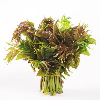 野菜虽好，但这三种可能增加结节风险，千万别随便吃虽然野菜富含维生素、矿物质和抗