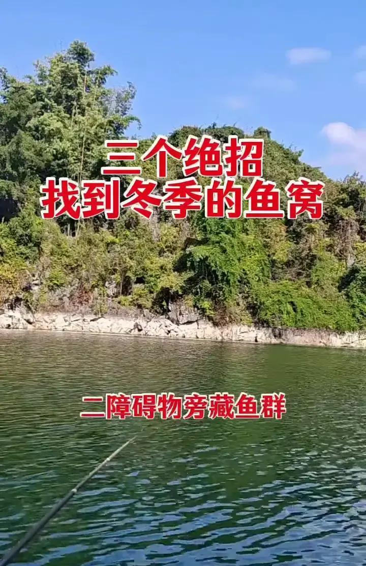 别信那些老师傅藏的“绝密钓点”。冬天的鱼，比你会找暖气。秘密就藏在阳光照到的