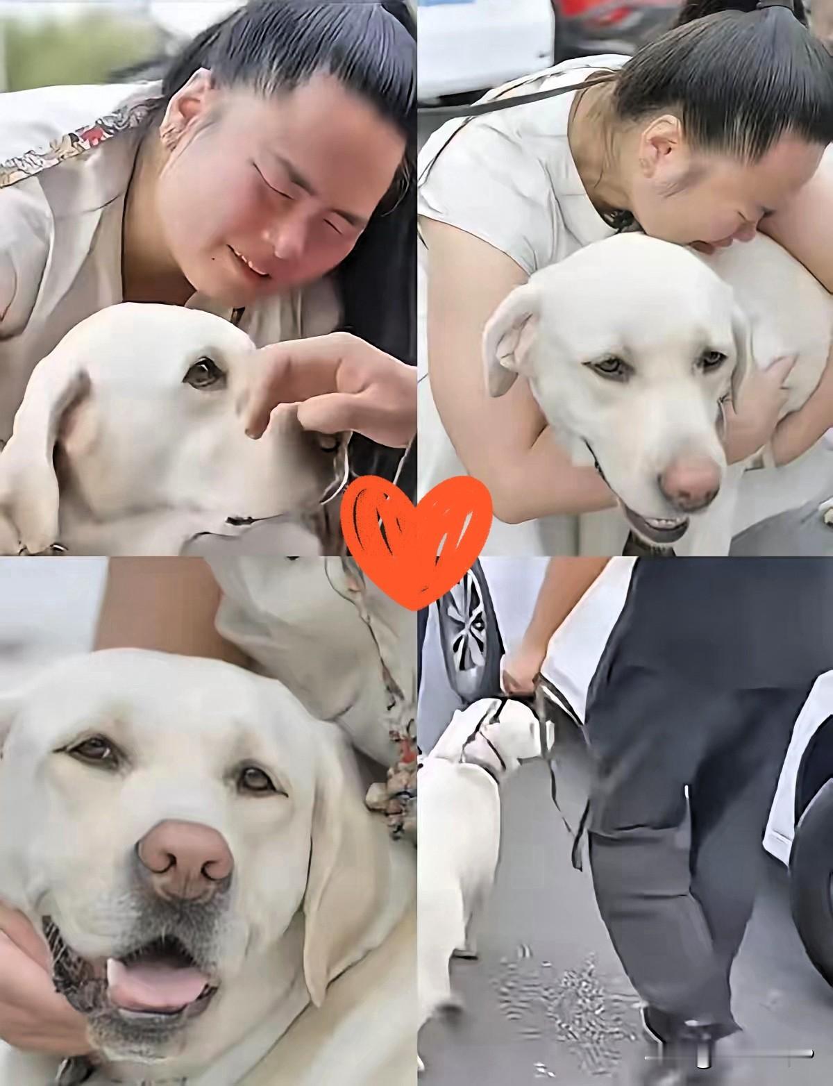 “狗也会抑郁”不是玩笑。大连导盲犬芬迪被退回后，基地测出它心率飙升、整夜啃笼子