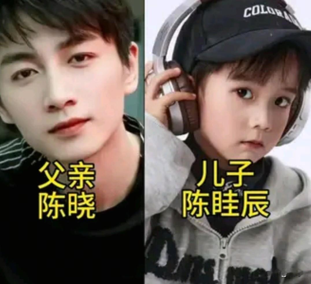 男明星的强大基因有多绝都说颜值是可以遗传的，看这些男星家的小男孩，真的被基