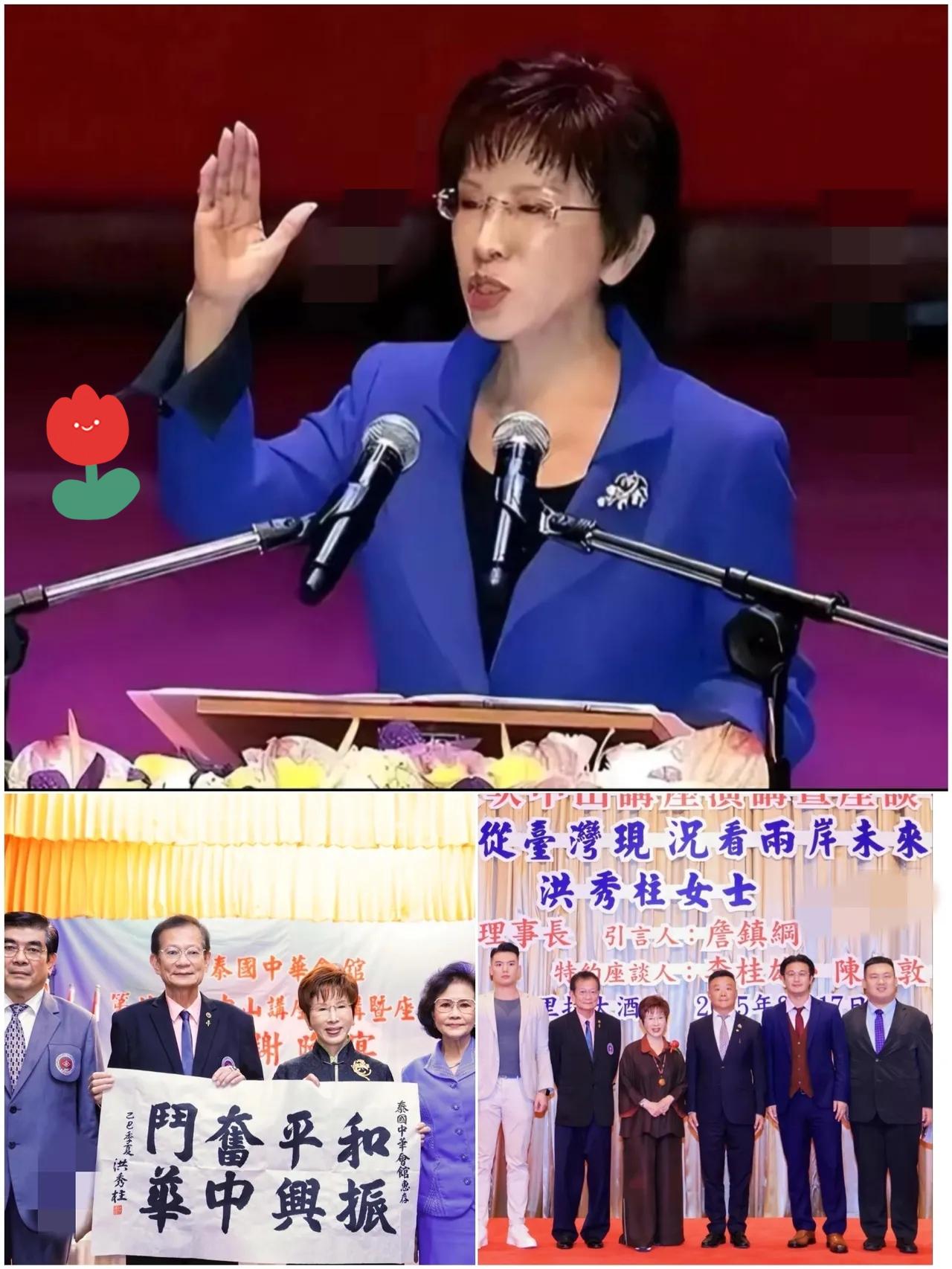 洪秀柱今日发声直指马英九和黄智贤！洪秀柱批评马英九：口口声声说“两岸和平”，却从