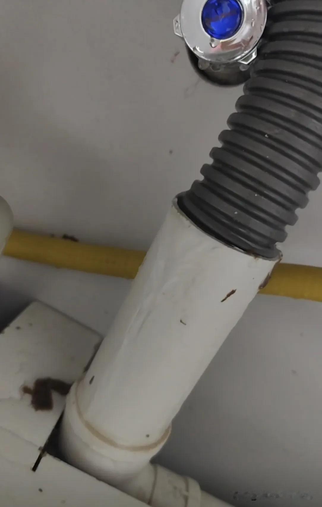 今天二楼业主厨房漫水，他说是楼上哪一家在疏通管道，导致他家漫水，要物业给他一个交