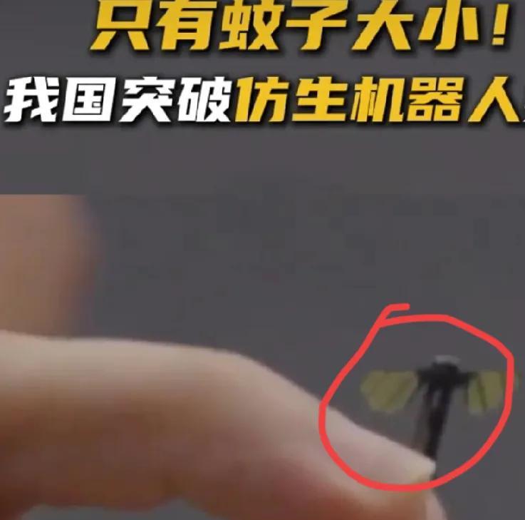 这又颠覆了三观，我国又一次走到了世界的前沿，研究出蚊子大小的仿生机器人，这绝对是