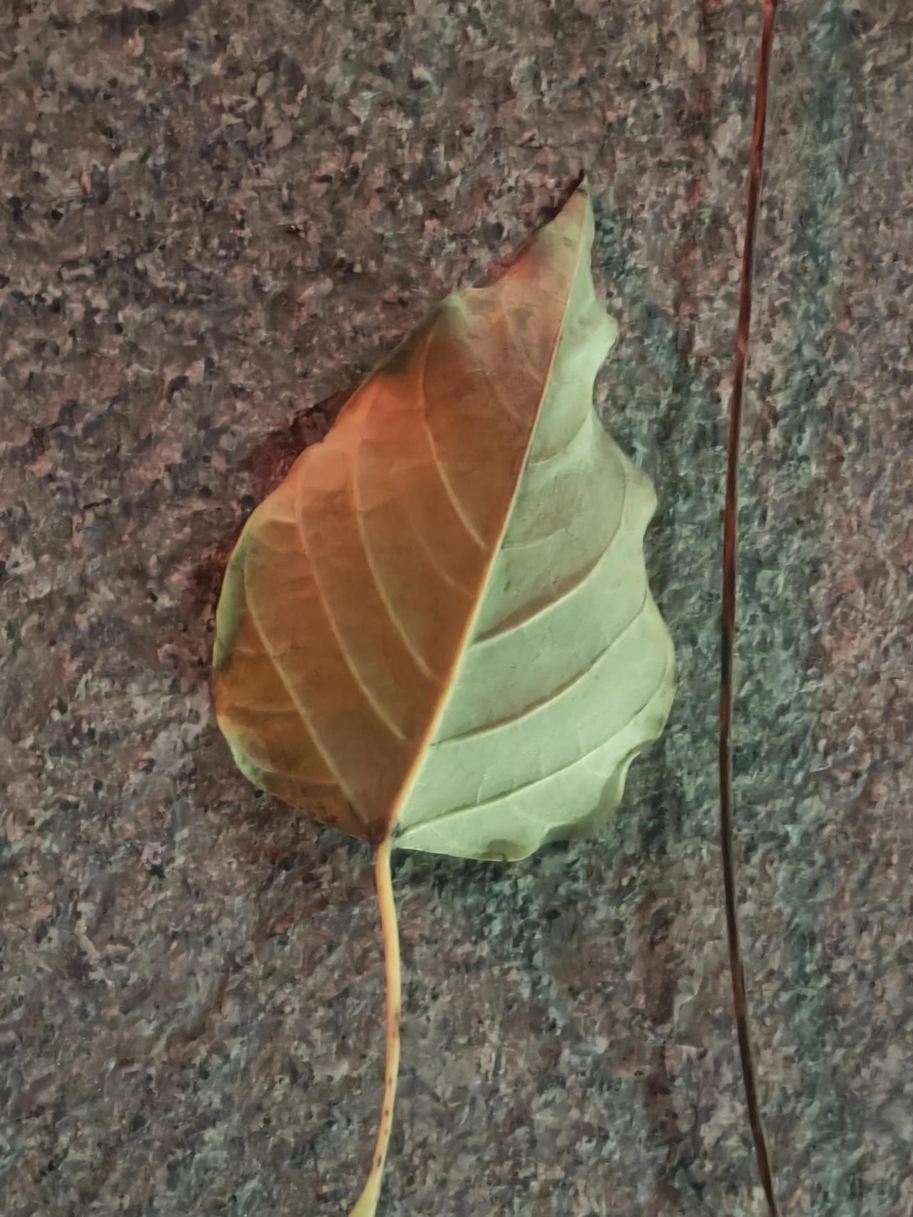 拜托各位老师！如果延时一定要存在，拜托老师让学生把作业写完再回家！原本延时的