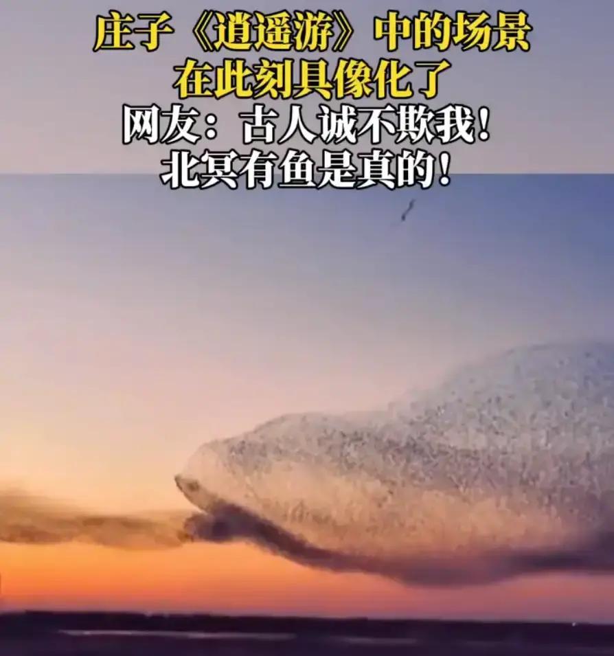 “山海经真的没骗人！”山东东营，男子去黄河口旅游区拍照，本来只想拍点落日风景。结