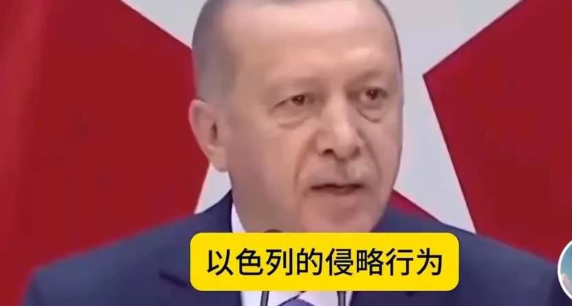 土耳其埃尔多安表示如果联合国管不了以色列，土耳其将采取行动制止以色列的侵略行为，