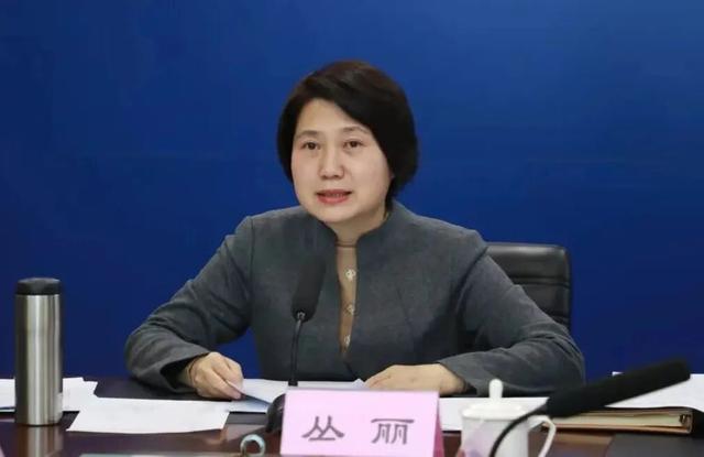 丛丽, 升任副省长