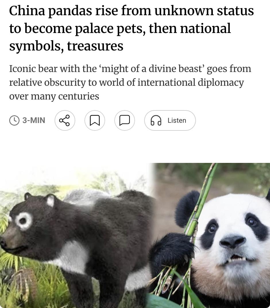 外媒：大熊猫在中国经历了从默默无闻到国宝的蜕变历程。古生物学家发现，八九百万