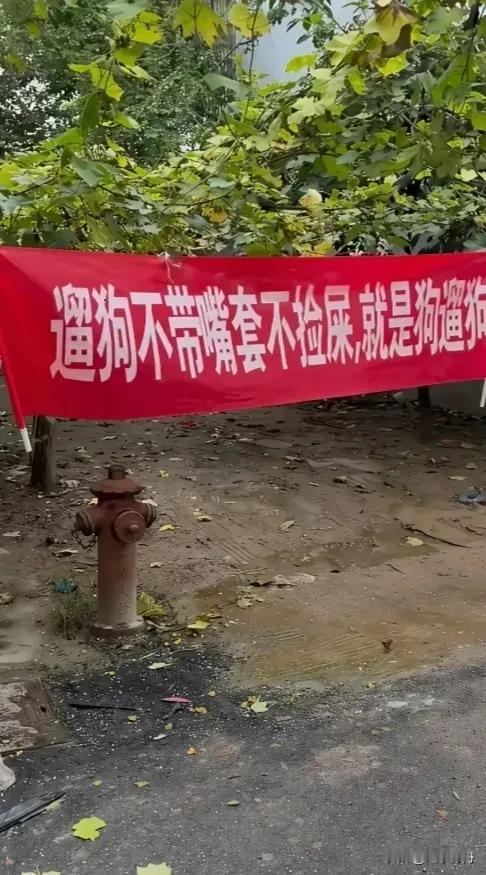 邻居带着小狗下楼遛狗，迎面看到这条标语顿时脸都变了，看着怀里的小狗心想这是骂谁呢