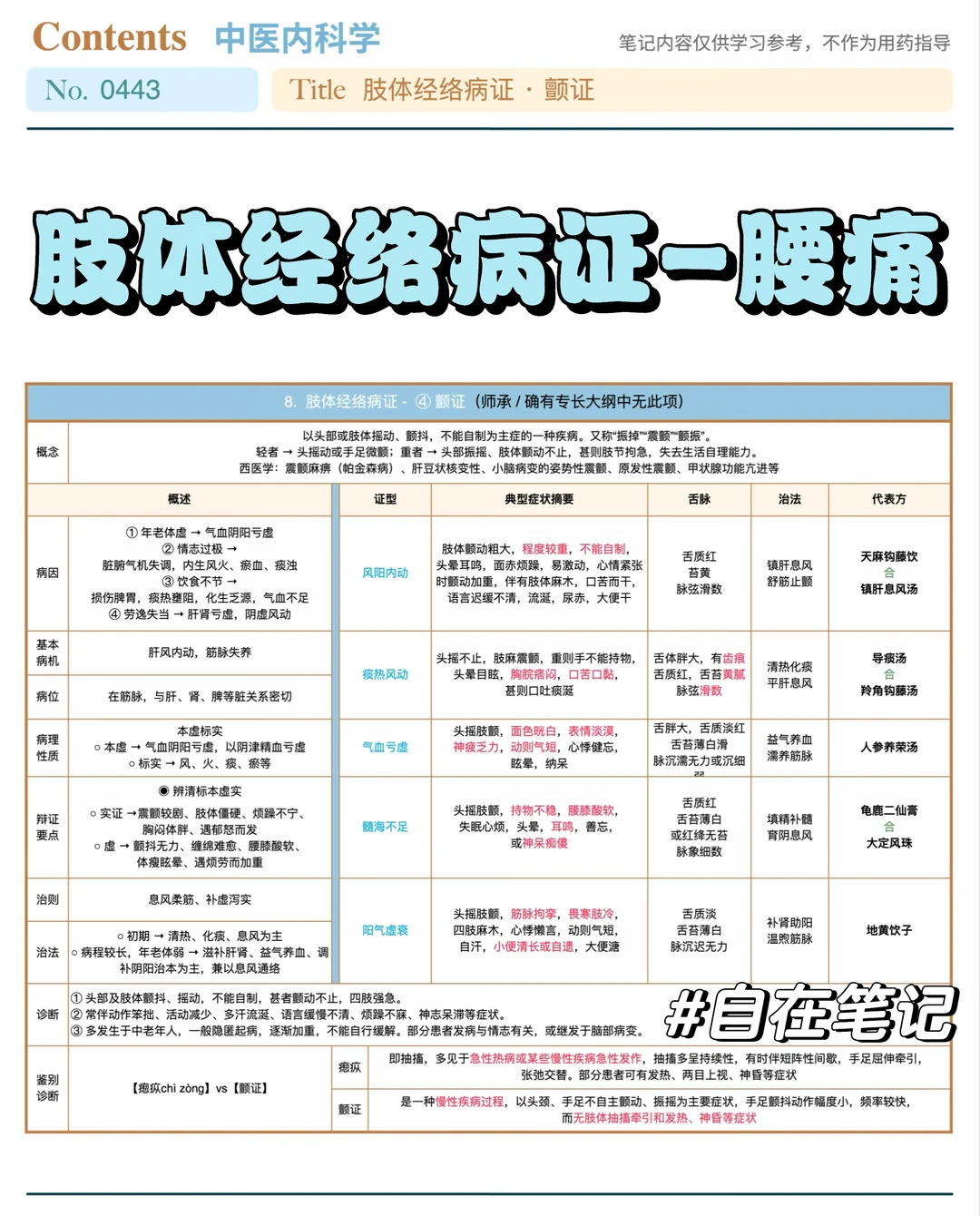 学习笔记443篇｜中内58｜肢体经络·腰痛