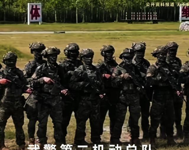 知道武警第二机动总队到底有多硬核吗？如果只盯着枪、车和特战课目，很容易把这支部