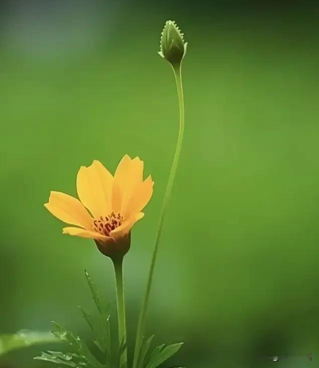 道家说:“任何事情，只要有迹象阻止你，频繁的出现波折，这个时候，你就该停止。凡