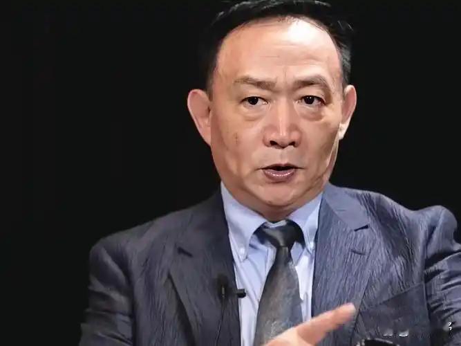 卢麒元说：有人喜欢“卖资产”，却不敢明目张胆地“卖资产”，只好打着“高水平开放”