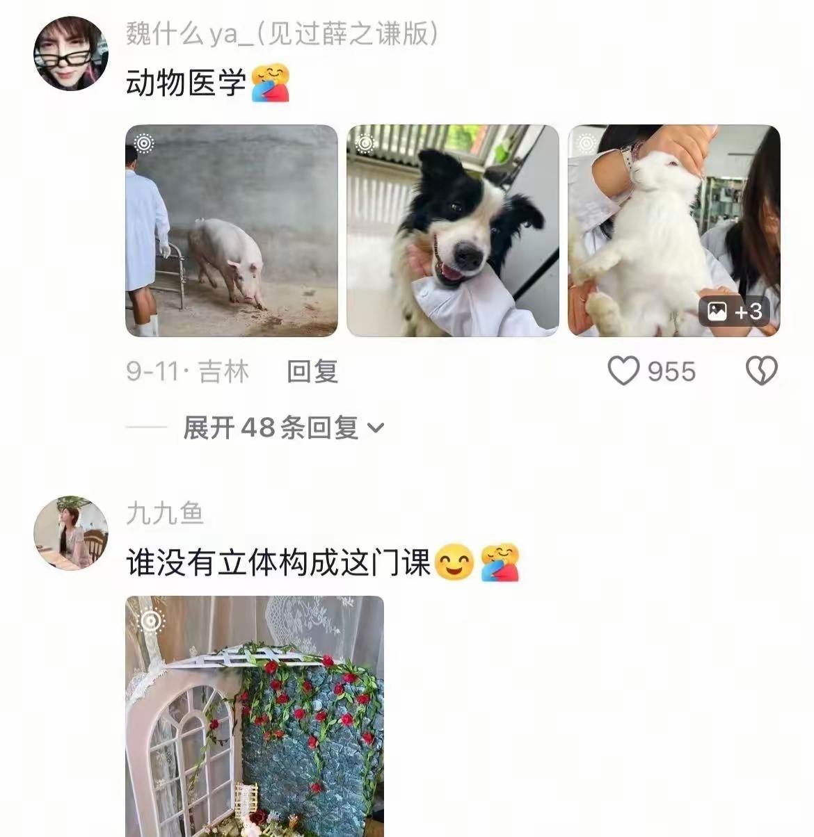 坏了...这群人在大学都学到真东西了