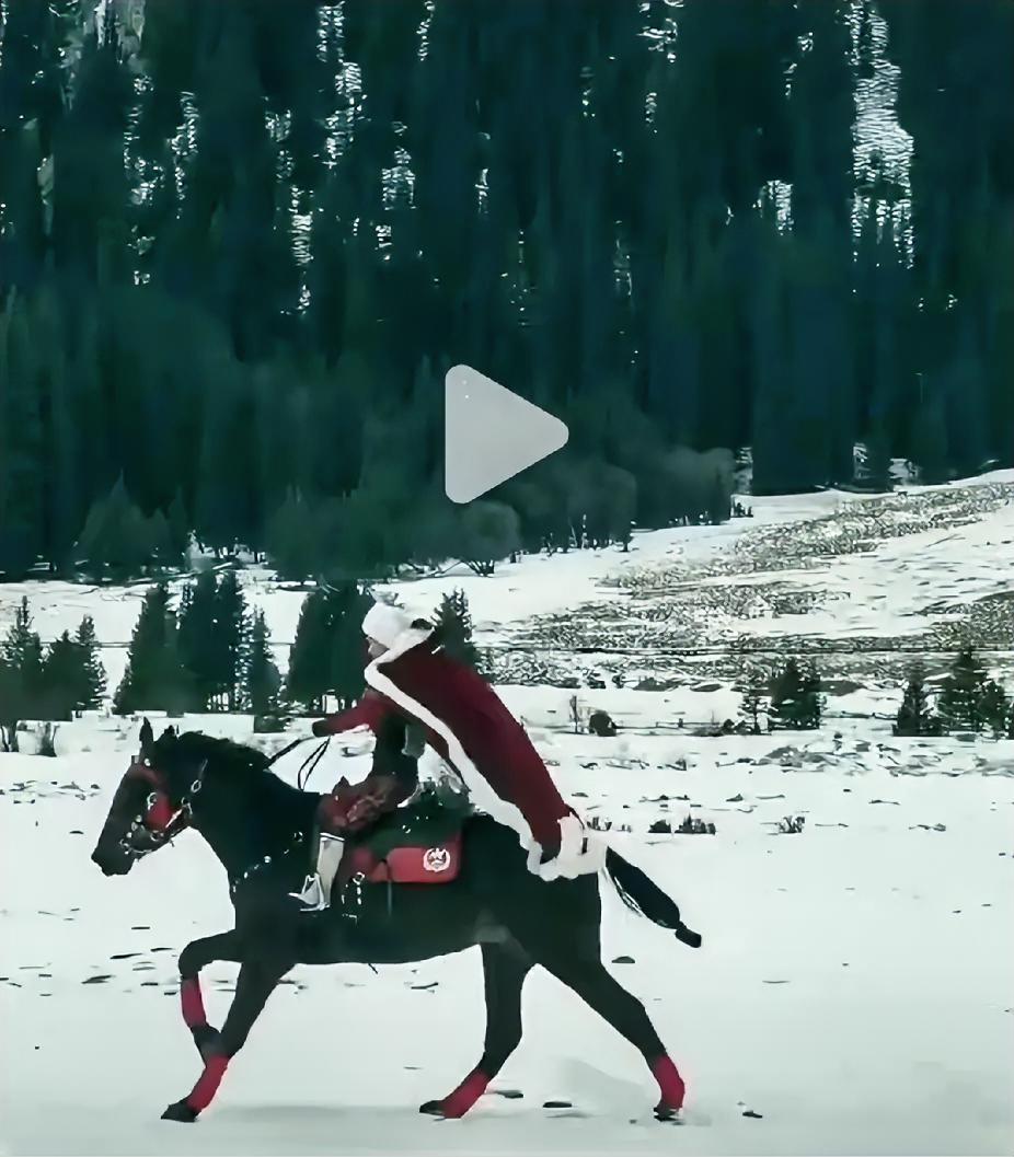 查了一下贺娇龙，才知道已经骑马多年的她，为啥这次偏偏就出事了？原因是多重风险