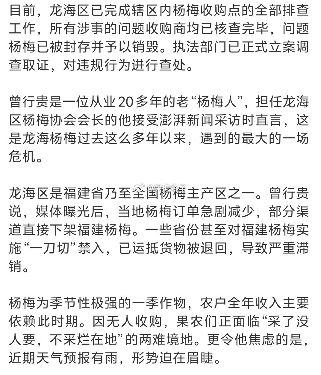 杨梅协会会长恳求消费者给果农生路作为福建隔壁的浙江人，因为本身就有很多杨梅品种，