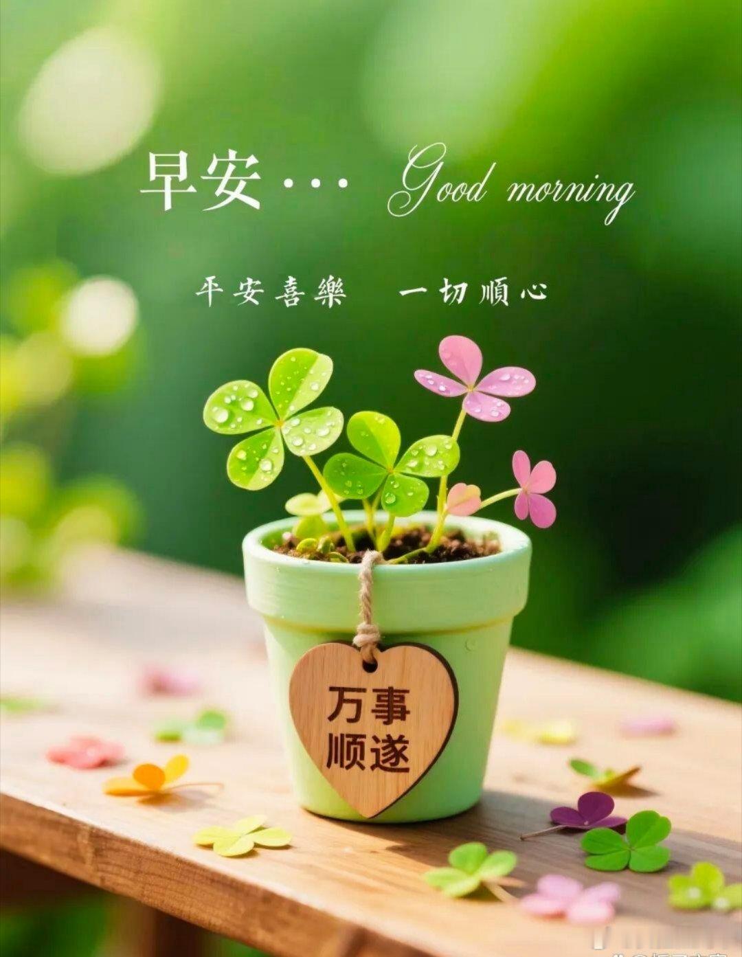 早安命运只能安排际遇，怎么过这一生选择权始终在自己手上。生活本就好坏交织，不要