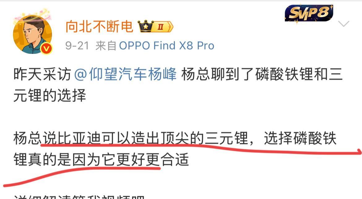 仰望高管：“比亚迪可以造出顶尖的三元锂电池，选择磷酸铁锂真的只是因为它更好更适合