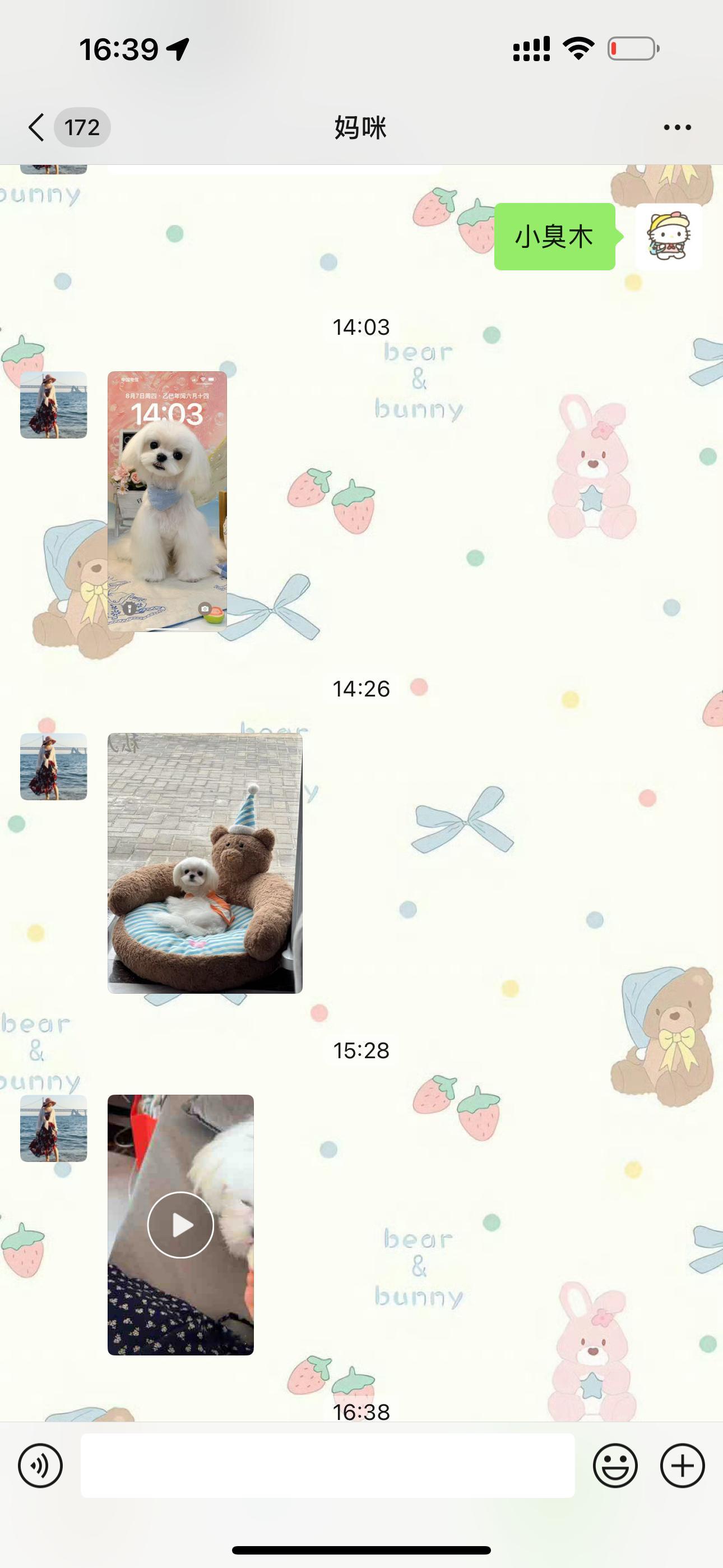笑死我了…….小臭木真的俘获了amy的芳心​​​