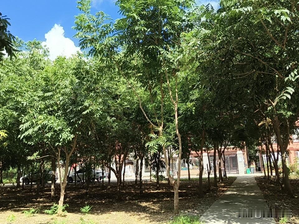 你发现没有？人老了最惨的不是走不动路。是躺在床上动不了。手里还没半分活钱。
