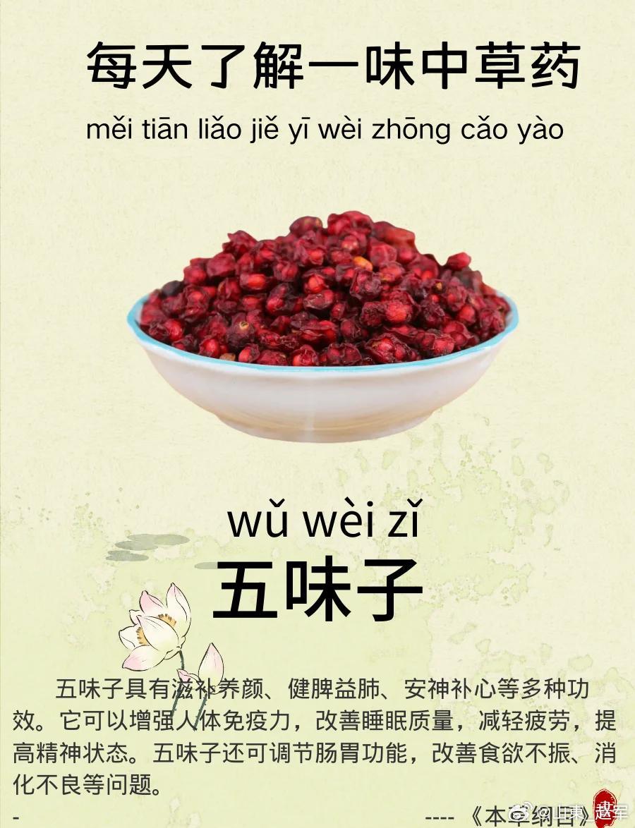 临证思考：五味子治咳喘之妙用在中医临证的漫漫征程中，每一味中药都是一把开启健康之