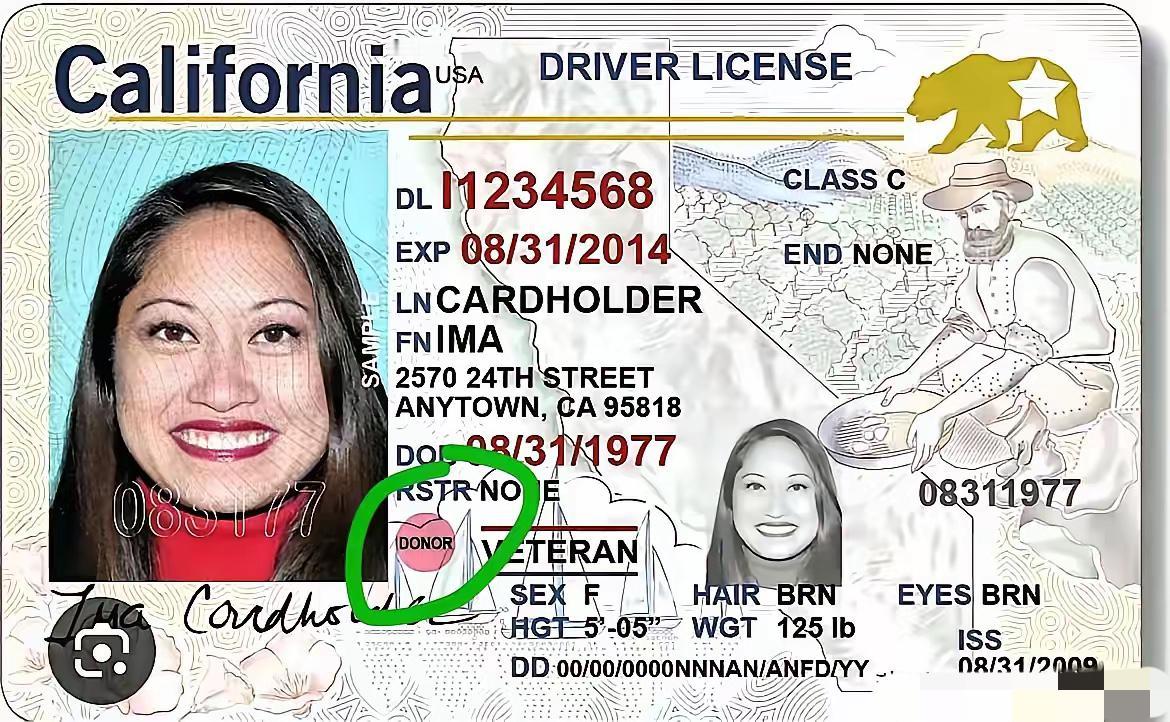 很多人以前听公知吹美国驾照上的器官捐献勾选（Donor），说这是文明高效，值得国