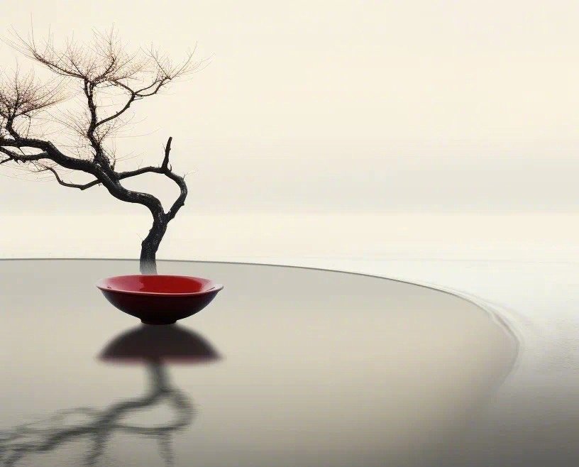 用有限的生命，来追求无限的生命感受。在我看来，这才是真正的创造。———《半山文集