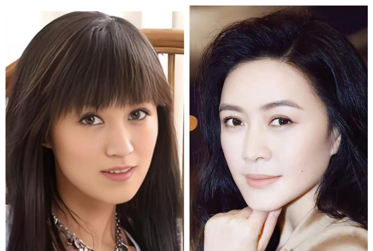 终于瞒不住了陆毅为什么会这么宠爱鲍蕾了倒不是她多漂亮，也不是多贤惠，而是她太