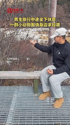 “解释不清了！”四川，一男生去稻城亚丁旅行，中途累了坐下休息，没想到，刚坐下不到