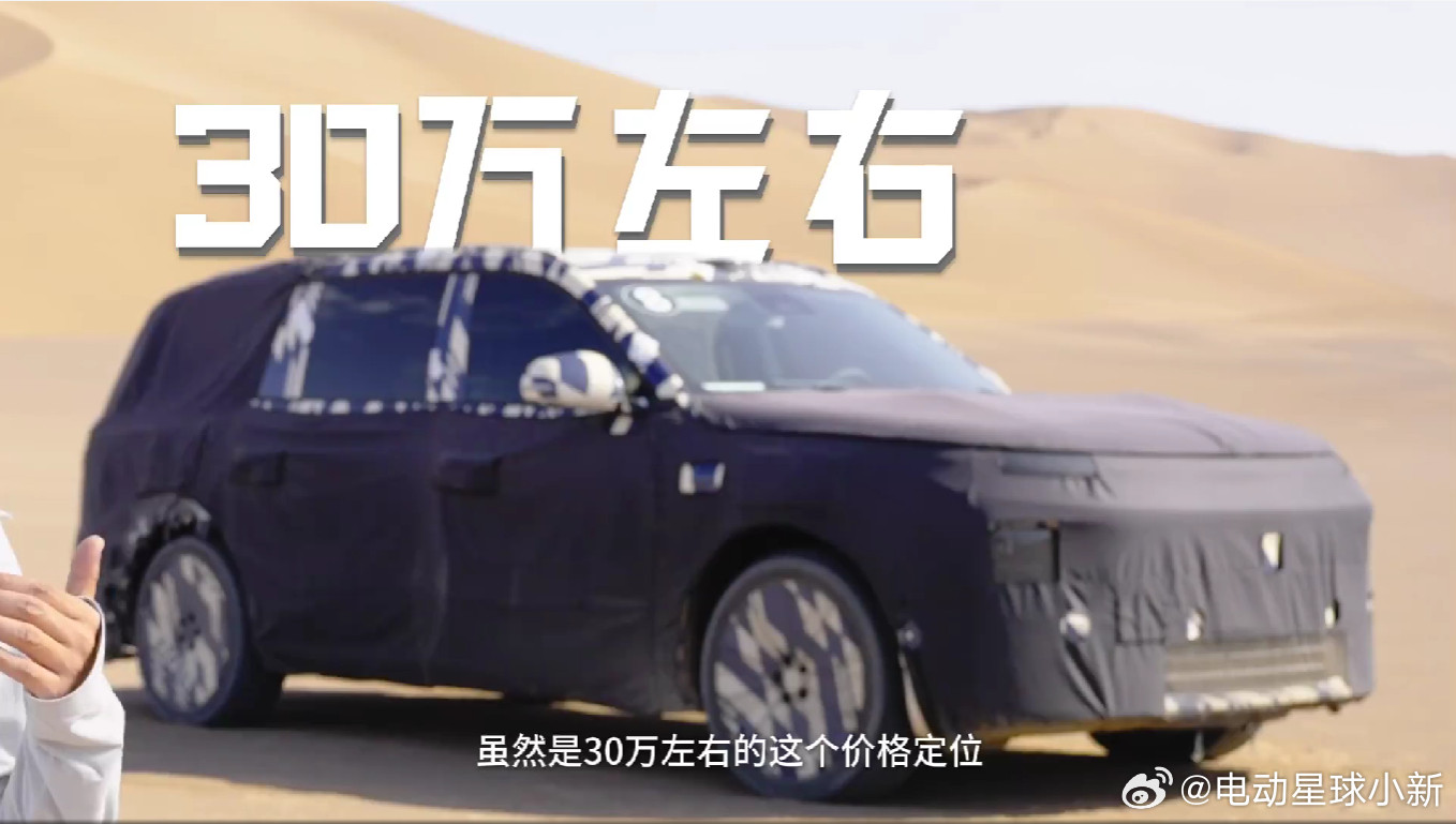 透露了D19的更多信息-30万元左右的价格定位-电池更大，整车轻量化的