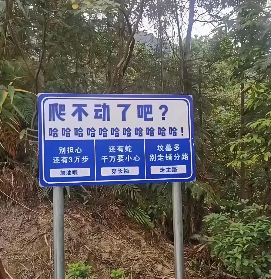 这个温馨提示好像有点幸灾乐祸的意思啊[无奈吐舌]