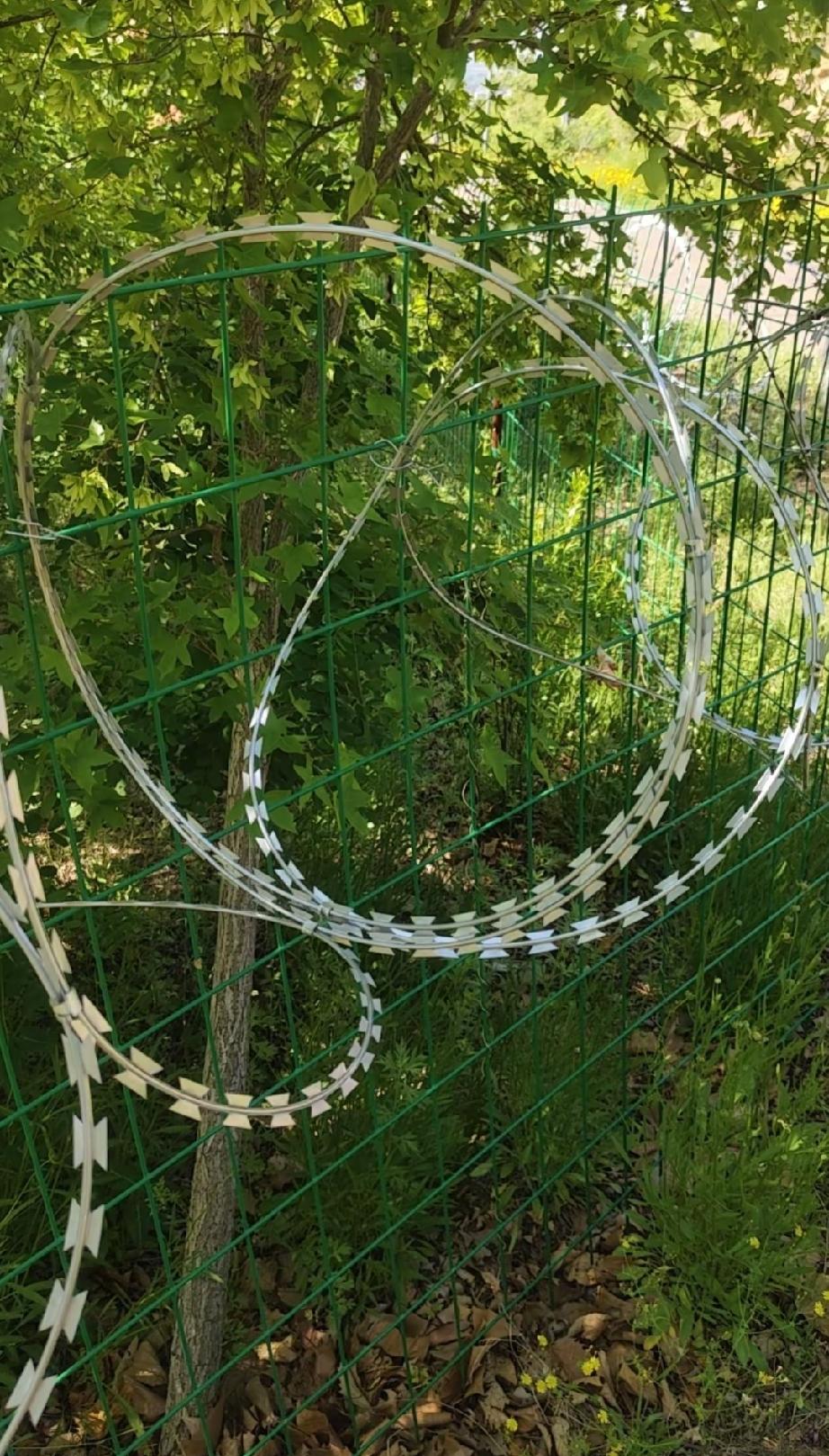 花两千五百多万修的泰山隔离网，短短两三年就因舆论压力全线拆除，这笔公共资金白