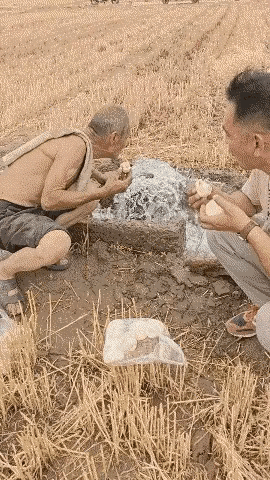 农村出生的70后80后，应该都尝过这一口水的滋味吧，说来也奇怪，以前大家就这样对