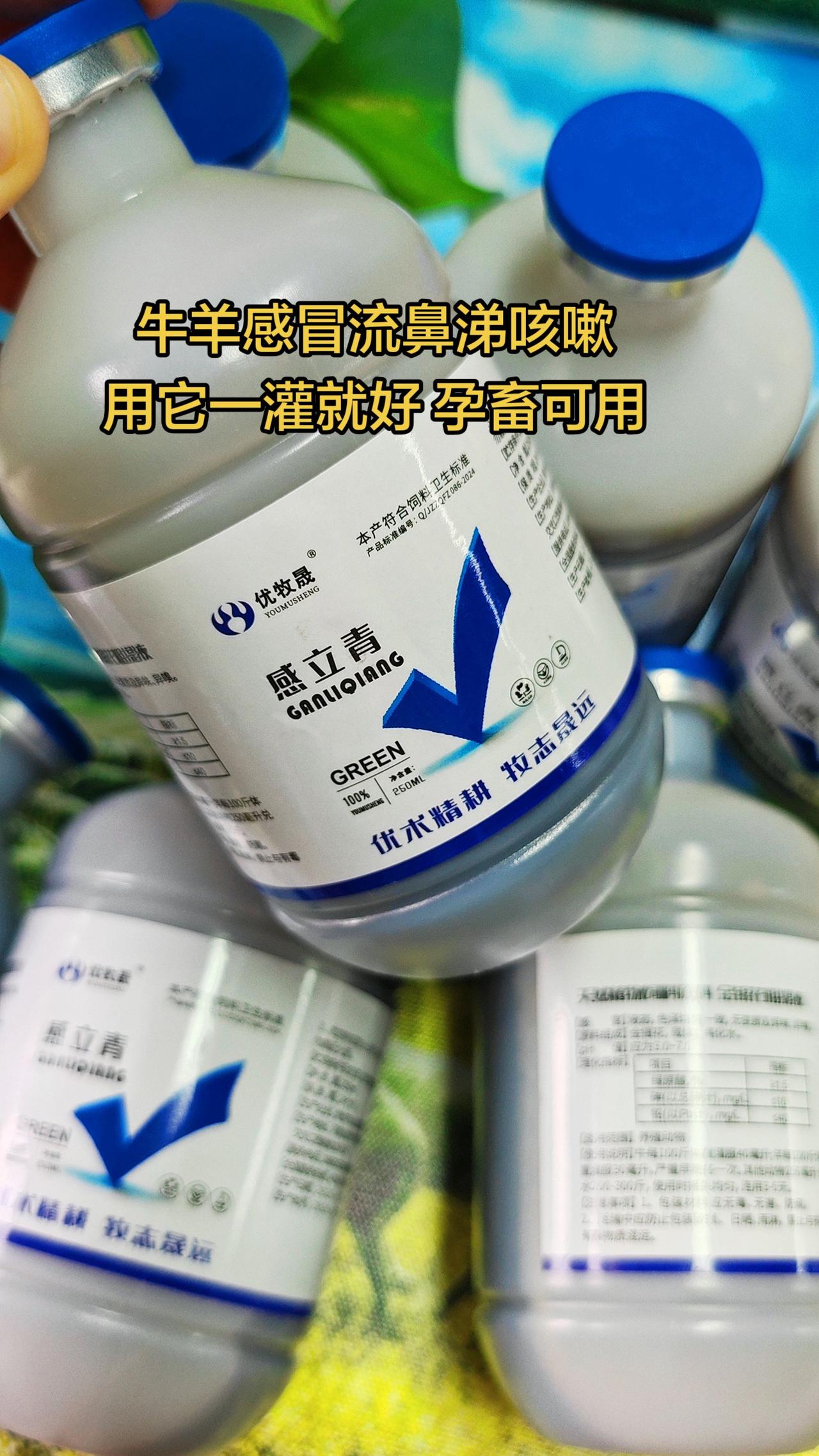 养羊人牛羊养殖农村养羊牛羊感冒流鼻涕