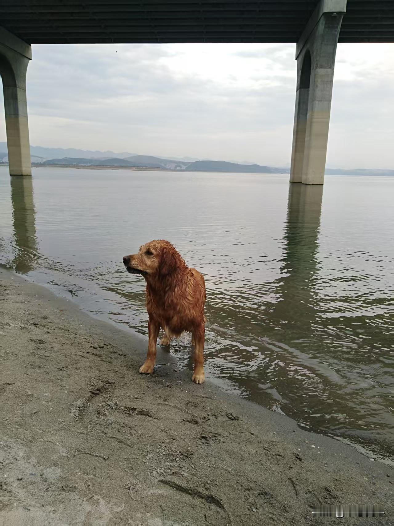 做人要争气！从这个香港杨姓富豪的话语里，“固守信仰”，说明做人要有信仰，内心不