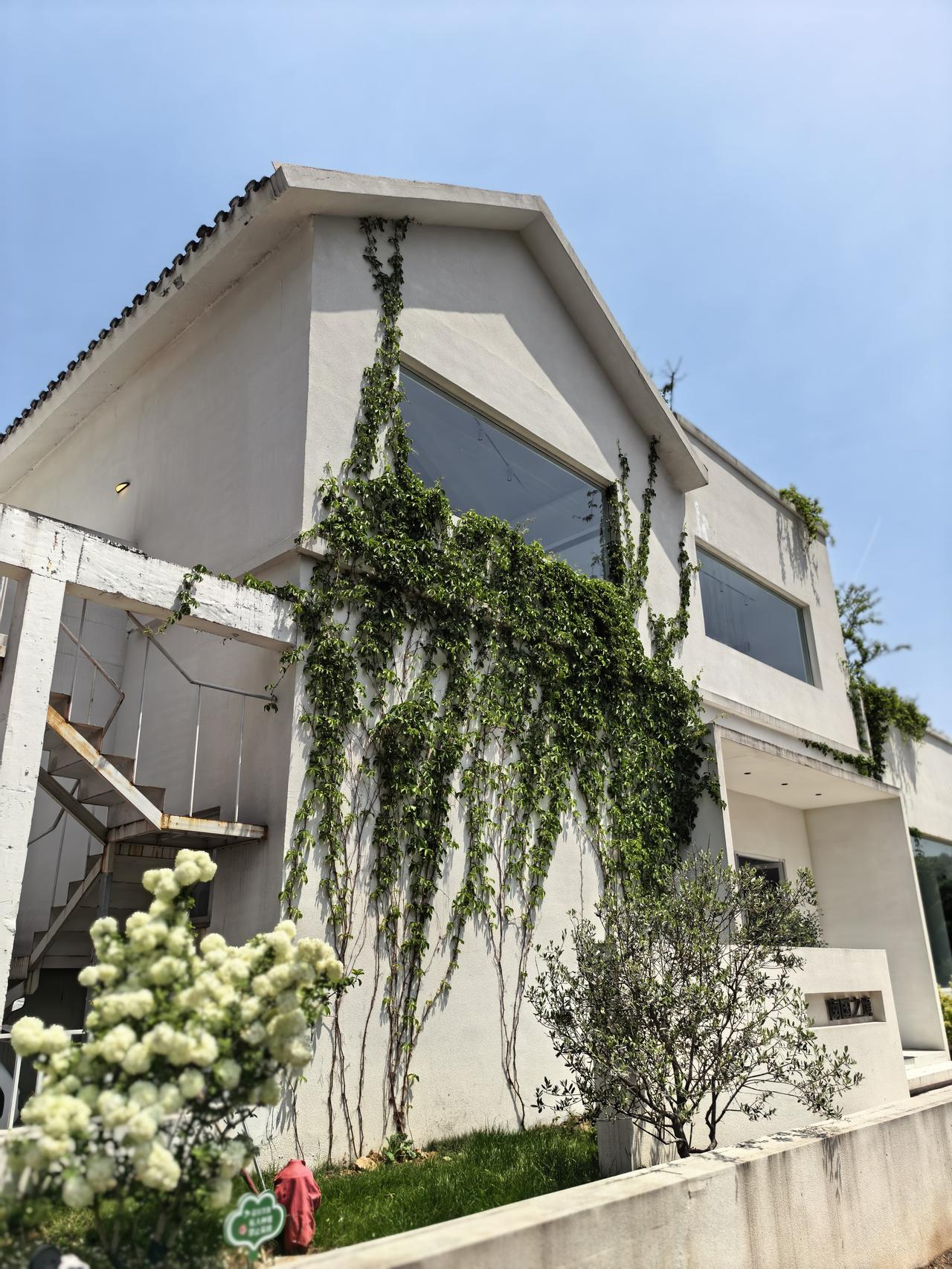 75岁老母亲拿半生积蓄在弟弟家城市买房，直接说将来把这100平的房子留给弟弟，我